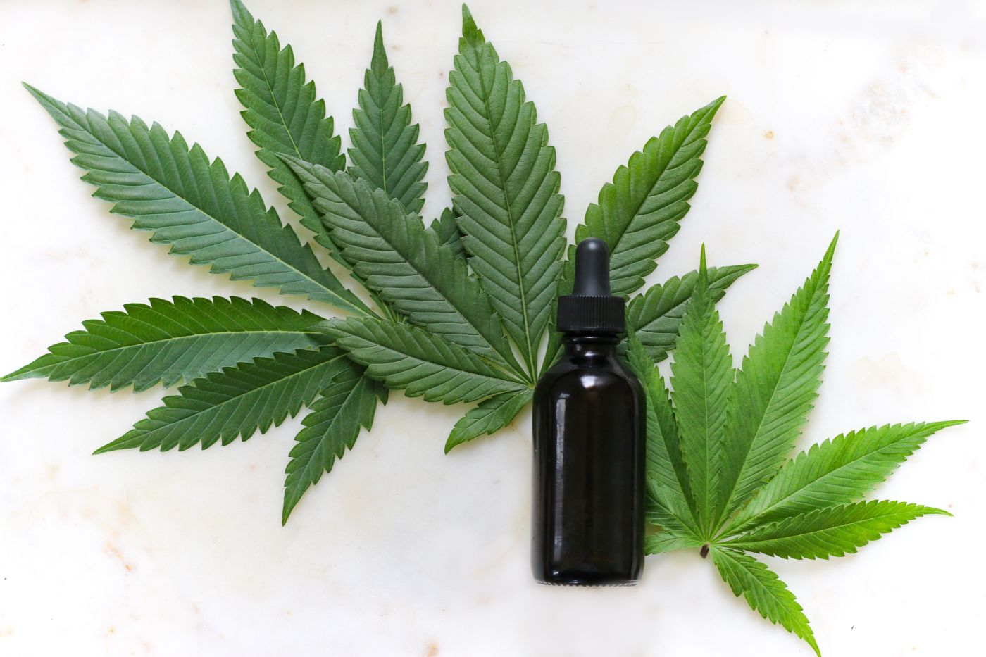 Marijuana leaves and oil bottle