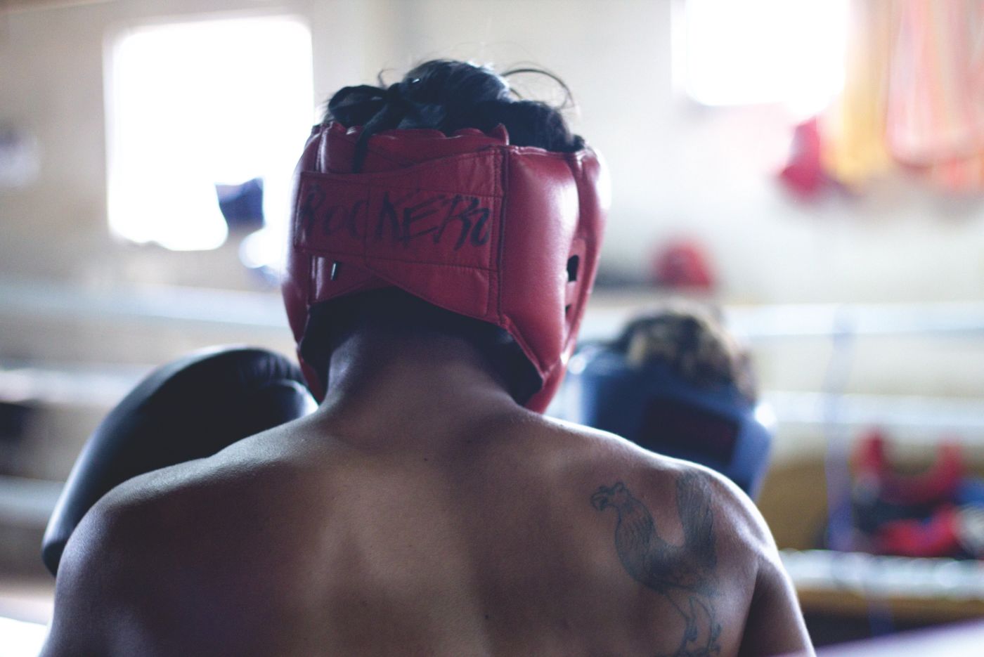 Boxer with headgear on